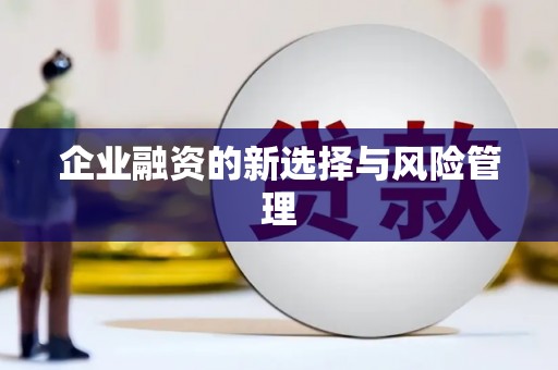 郊区企业融资的新选择与风险管理