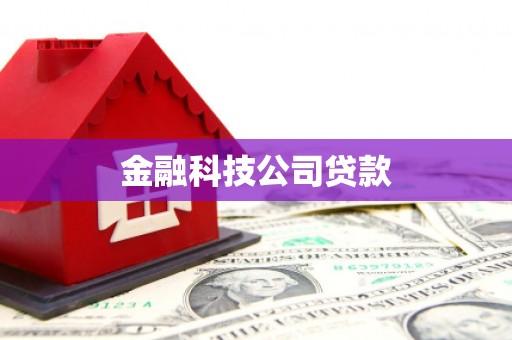 郊区金融科技公司贷款