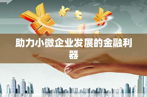 郊区助力小微企业发展的金融利器