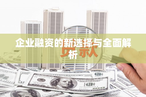 郊区企业融资的新选择与全面解析